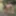 Ücretsiz MusaGolgyn Fotoğrafları