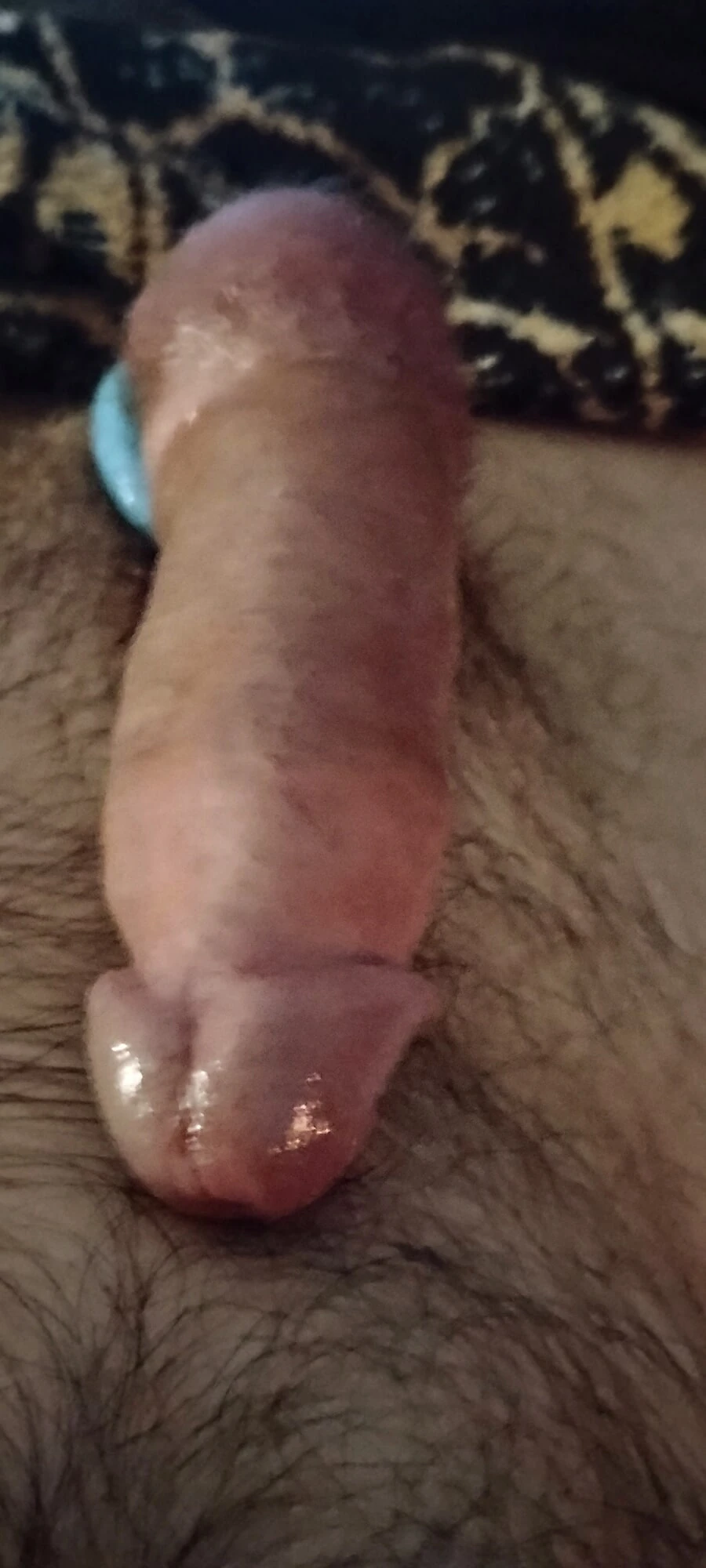 My cock  #33
