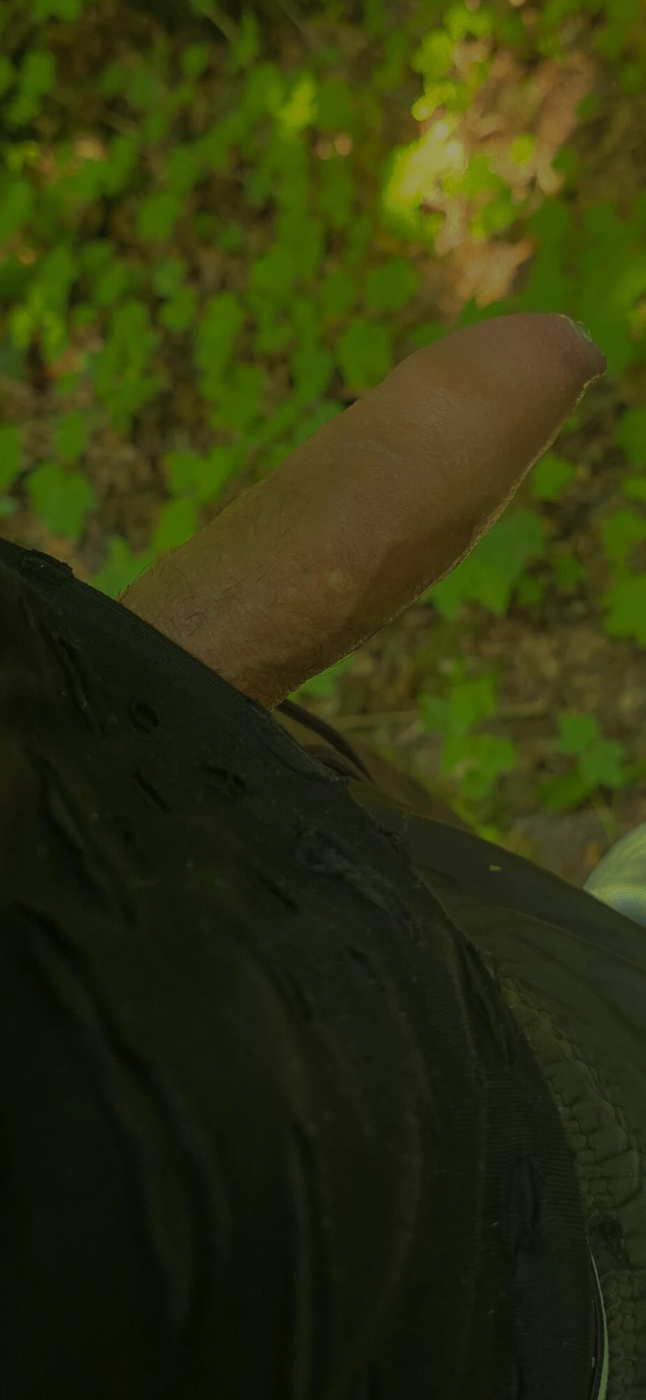 Masturbation in the Forest