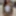 Free Swallow Photos