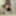 Samantha Campagnolo Nude