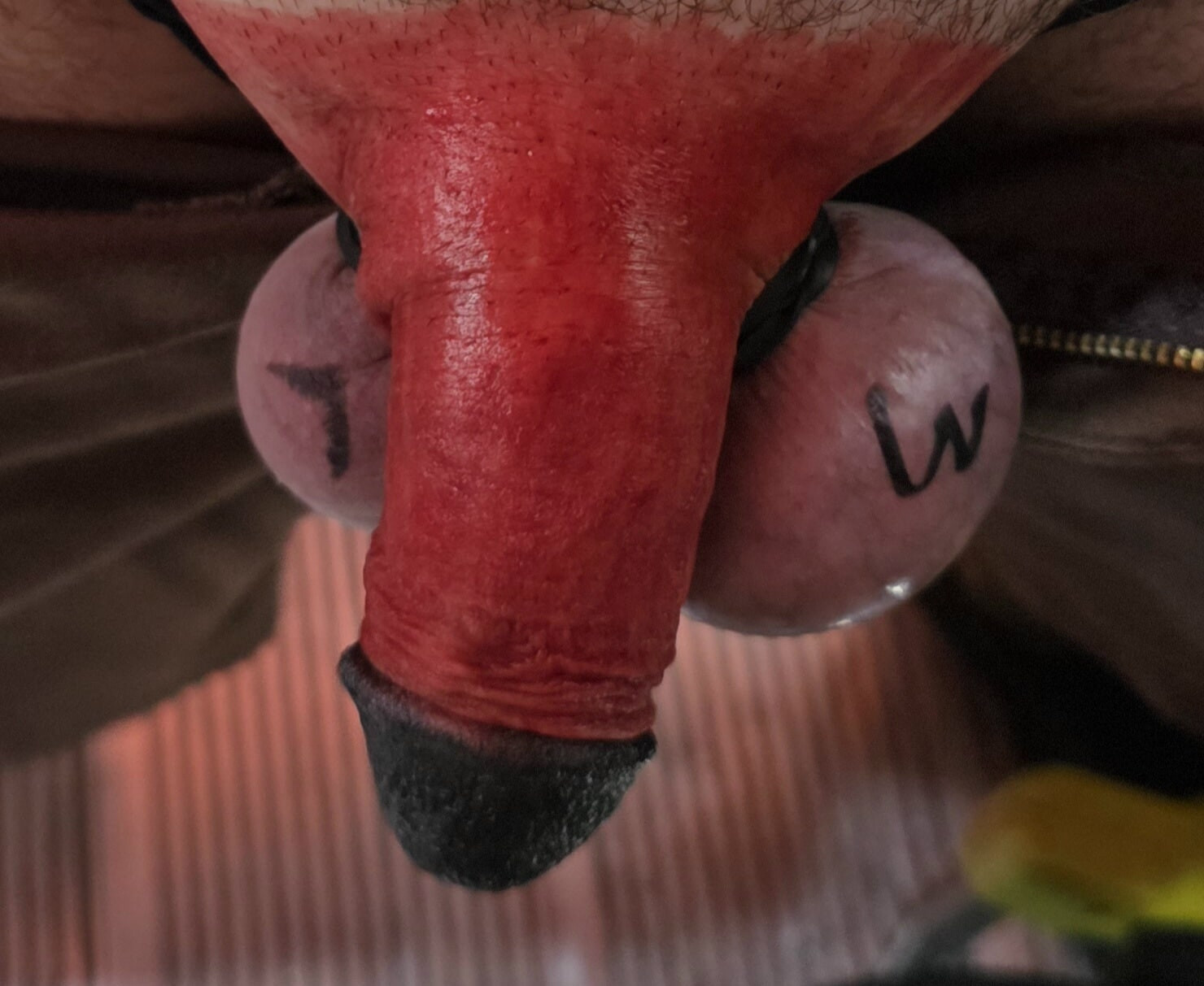 Humiliated loser clit !