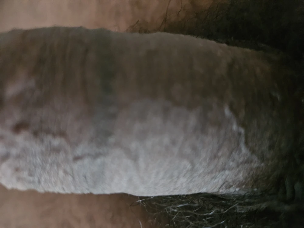 Cock 