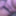 Close-up tits and pussy