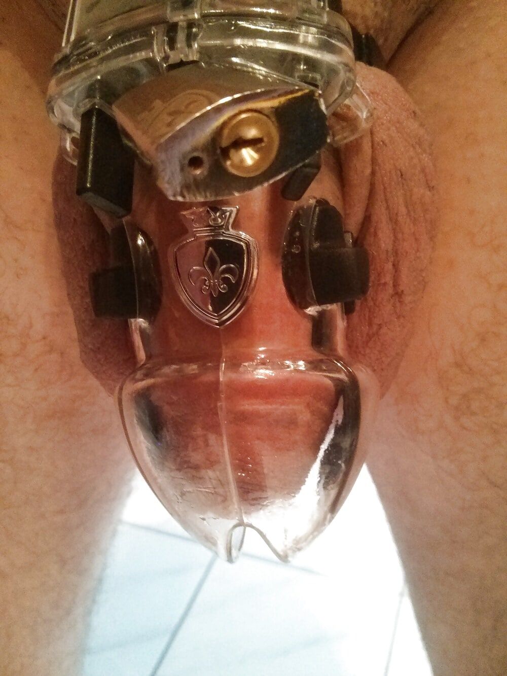 Me in different chastity cages #7