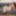 GROOBY-ARCHIVES: Sabrina Kuba's Creamy Load #3