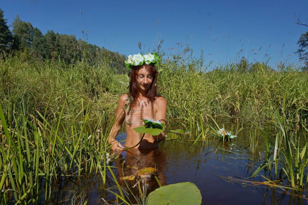 In pond with waterflowers #7