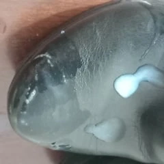 मेरी पत्नी ने मुझे अपने जूते से धूल धोने के लिए कहा