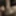 Cock Pics