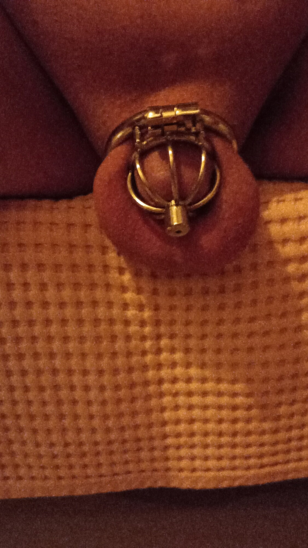 Chastity belt.