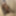 My Body And Dick 