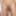 Young Boy Play Jerk off in the Shower #3