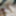 Cumshot Vol.1 #8