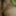 Anal fucked, cumshot in her mouth #22