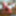 NEW 2019 Pics #43