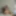 Ricatrav Sissy Exposed Pt4 (Federica Carofiglio)