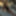 Poly Free Photos