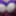 purple bound breasts