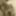 imnudeforu