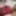 Free Meana Photos