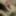 Blowjob with Oral Creampie