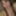  Abby Free Photos