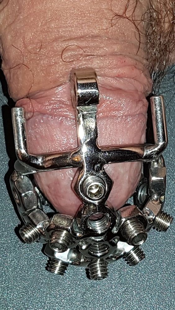Chastity cage #22
