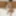 Join me on FapHouse