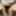 Lindaasian-ts for Master DOM_isil (part 2). #36