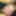 男子生徒プレゼント写真