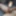 Kaitee Banggs Tributes Sexy big tits ass MILF slutty blonde