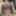 Femboy latin