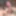 My Beautiful Erect Penis with 5 months without waxing
