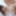 Minami Fujii :: Debut Vol. 74 - CARIBBEANCOM