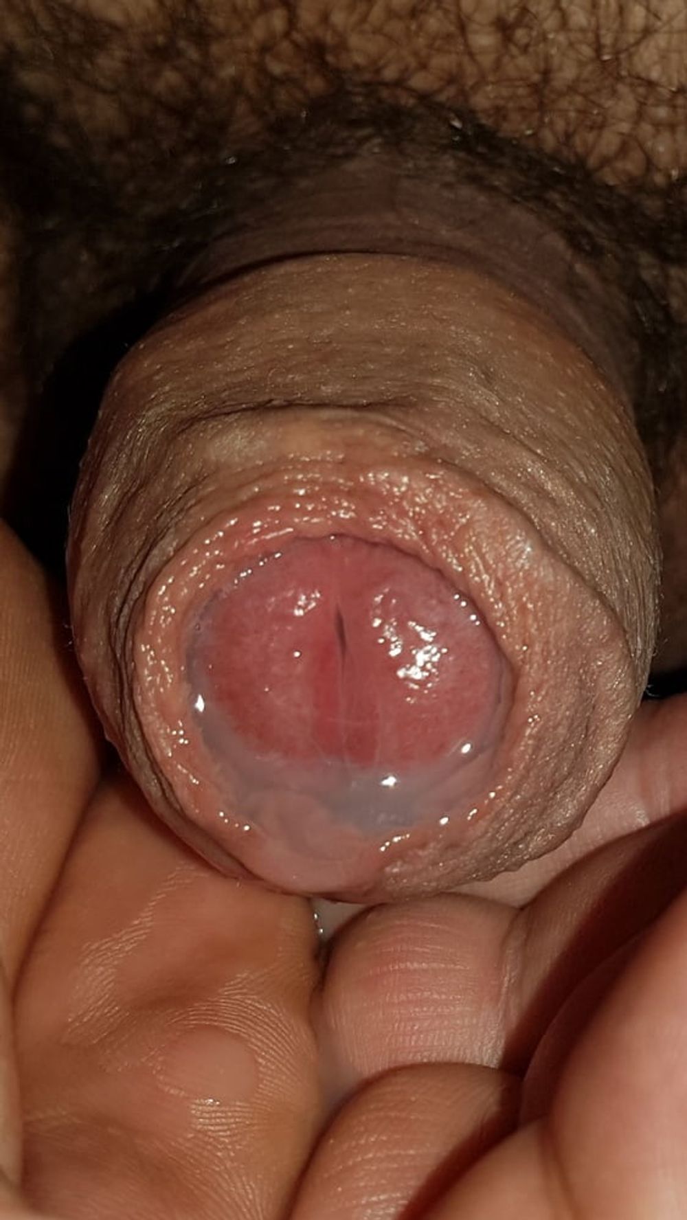 Precum and cum #39