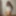 Ücretsiz lilshoot fotoğrafları
