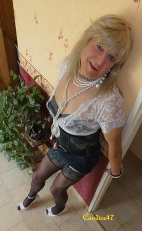 Saturday contribution