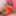 TGIRLS.XXX:満開