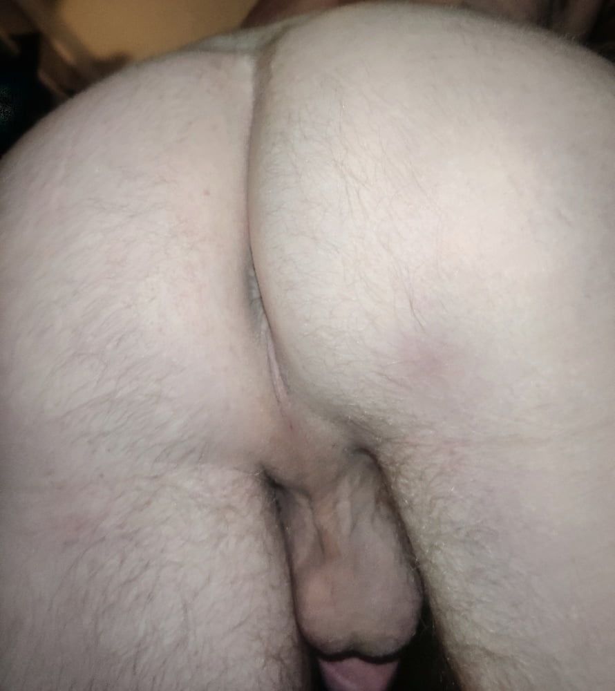 My Ass #18
