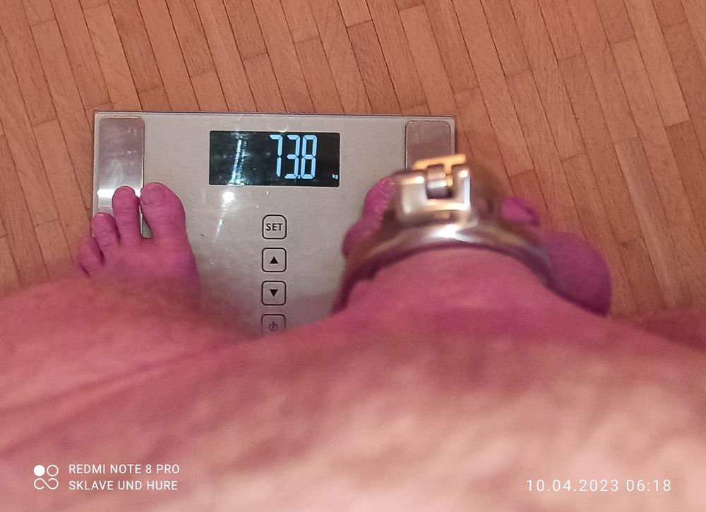 Masturbation, mandatory weighing and cagecheck of 10.04.2023 #8