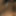 Cum shoot penis