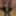 Mandatory weighing cagecheck plugcheck January 09, 2024 #11