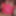 Closeups  #2