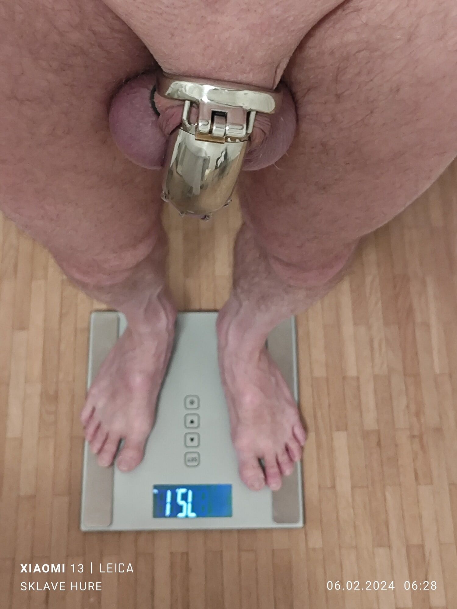 Daily weighing cagecheck no plug check February 6th , 2024