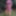 Flowered dress #22