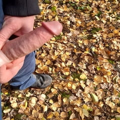 屋外デンシュワンツwichsen。