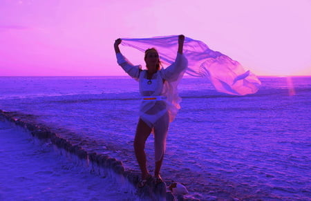 Pink Flamingogo