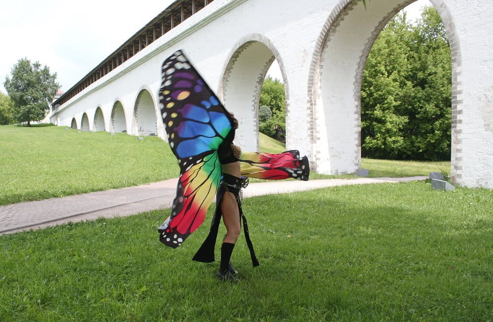 Wings of Butterfly #12