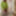 Amateur crossdresser Kellycd2022 holiday in white stockings #9