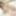 Reina Shiraishi :: Fall In Love - CARIBBEANCOM